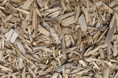 biomass boilers Luggiebank