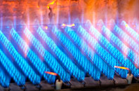Luggiebank gas fired boilers